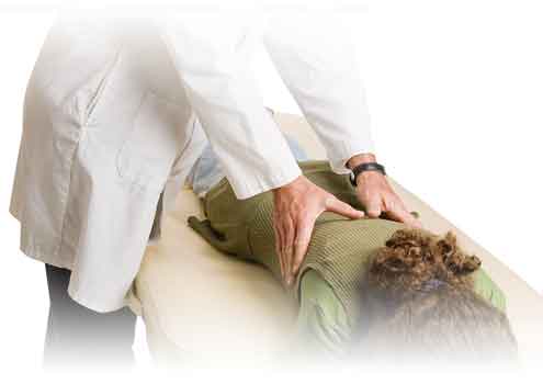 Ellisville Chiropractic Care